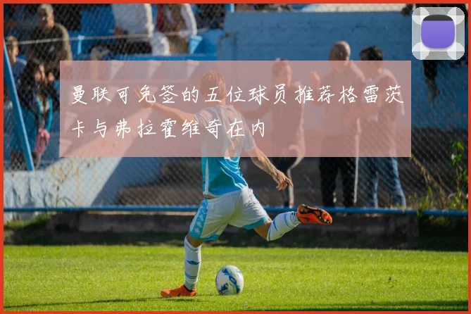 曼联可免签的五位球员推荐格雷茨卡与弗拉霍维奇在内